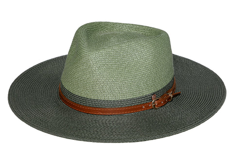 Sedgefield Olive - Tau Collection