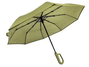 Smart Umbrella SAGE