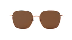 Thomas Rose Gold Frame Brown Lens - Urban Supply SA